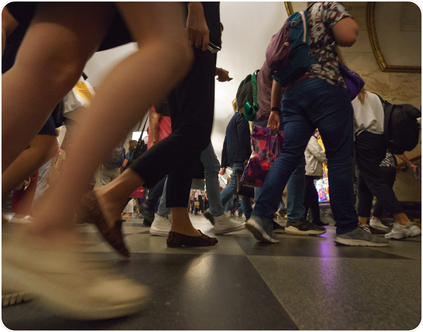 Exhibit Hall Floor Clings
