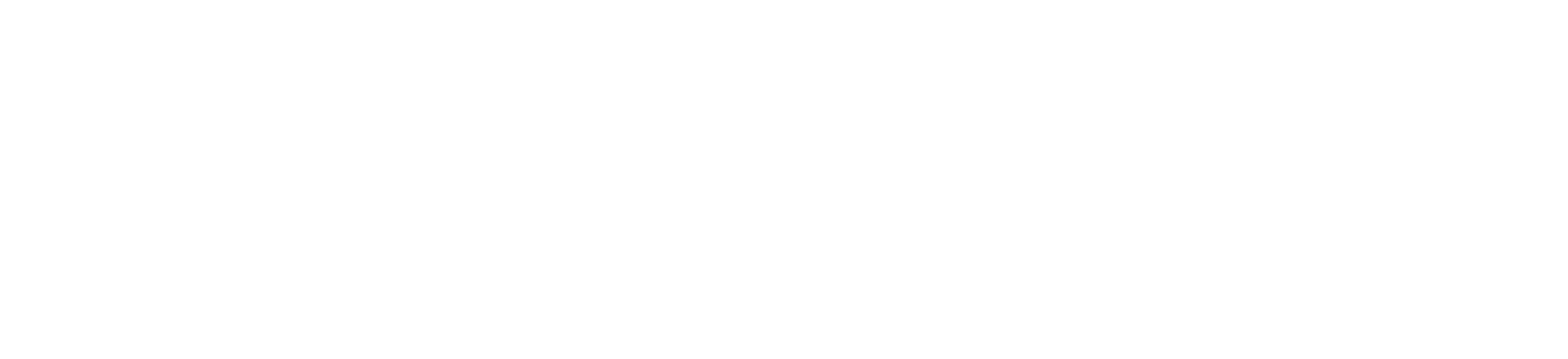 NANS_Logo_2023_FINAL_White